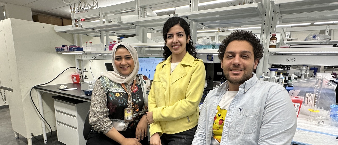 Pharmaceutics Eman Kamel, Elham Taherian and Hesham Abdelsamad