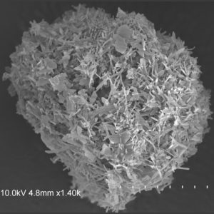 Jadhav - Scanning Electron Microscope