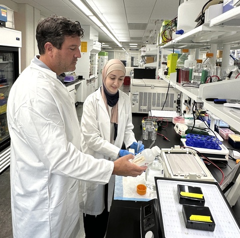 Amany Alowaisi and professor Ehtan Anderson conduct research in the Anderson lab at the University of Iowa College of Pharmacy 2025.