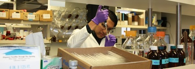 Former student Arturo Aguirre works in the lab