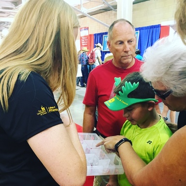 A boy learns about drug safety at the Iowa State Fair.