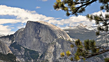 Yosemite National Park 1