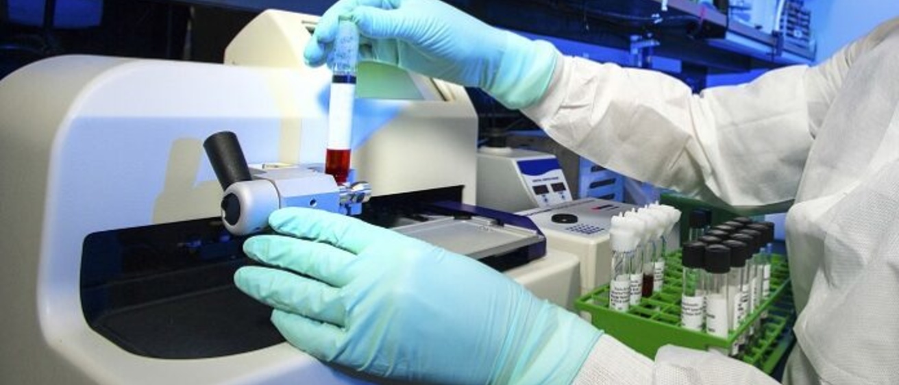 gloved hands shown in a lab doing a test