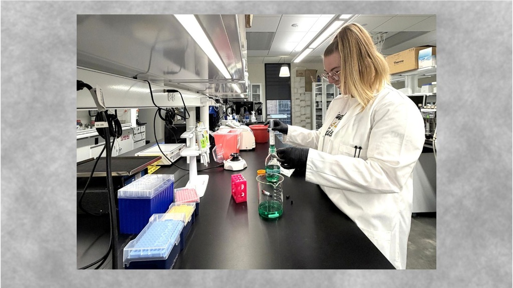 Researcher Sophie Granger, a member of University of Iowa College of Pharmacy Professor Michael Ashley Spies’ lab, is wearing a white lab coat and gloves. She is measuring a green liquid at a laboratory bench surrounded by beakers, pipettes, test tubes, and other research equipment.